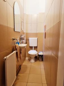 Transylvania Hostel في كلوي نابوكا: حمام صغير مع مرحاض ومغسلة