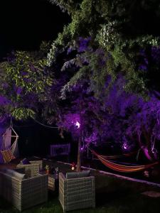 a tree with purple lights next to a hammock at Savvinio Country Apartment in Alexandroupoli +34 photos