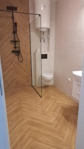 een badkamer met een douche, een toilet en een glazen deur bij Lavanda Apartamenty in Chłopy