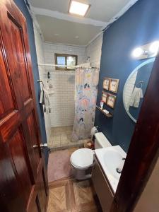 e bagno con servizi igienici, lavandino e doccia. di The Yellow House Boquete (hostal) ad Alto Boquete