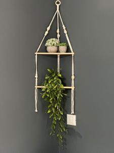 Fotografie z fotogalerie ubytování Suite al Centro v destinaci Taranto