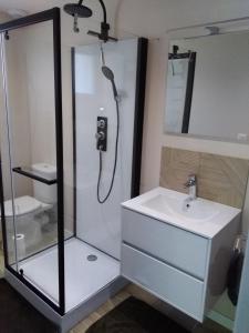 a bathroom with a shower and a sink at Bizi logela in Bidarray