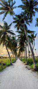 un camino de tierra con palmeras. en Thoddoo Garden inn en Thoddoo