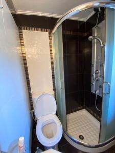 a small bathroom with a toilet and a shower at Σπίτι σε μοναδική τοποθεσία in Líthion