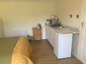 a small kitchen with a sink and a microwave at Gladstone Avenue Twickenham in Twickenham