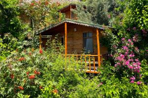 Fotografie z fotogalerie ubytování Fullmoon Camp v destinaci Faralya