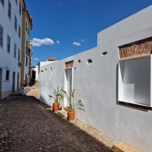 a white building with potted plants and a window at CASAS de CONSTÂNCIA in Constância
