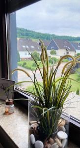 a plant in a glass vase on a window sill at IIA Apartments in Warzen