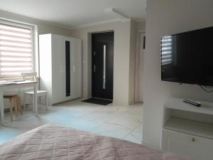 Televízia a/alebo spoločenská miestnosť v ubytovaní Nowe Apartamenty na Gryfa