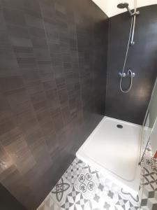 a bathroom with a shower and a white toilet at Hôtel Ker-Noyal Quiberon Plage in Quiberon +37 photos