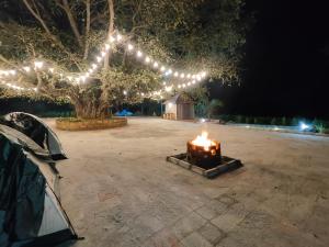 Fotografie z fotogalerie ubytování Aadvik Luxury Farmstay v destinaci Antarasante