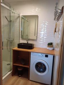 a bathroom with a washing machine and a sink at Appartement LES PIEDS DANS L'EAU in Saint-Gilles-Croix-de-Vie +36 photos