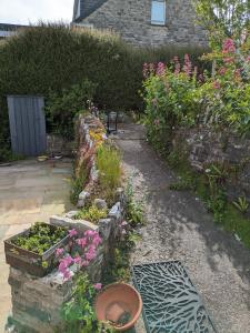 a garden with flowers and plants in a yard at Marlow in Swanage