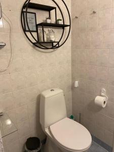 マリエハムンにあるTrivsam 1 aのバスルーム(白いトイレ、鏡付)
