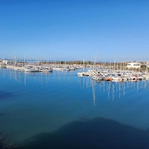 a group of boats are docked in a harbor at Studio cabine 4 pers vue mer in Cap d'Agde