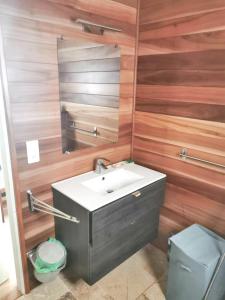 ein Bad mit einem Waschbecken und einem Spiegel in der Unterkunft Chalet de 2 chambres avec vue sur la mer jardin clos et wifi a Saint Leu in Saint-Leu