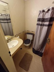 een badkamer met een wastafel, een toilet en een douche bij Anchorena 1117 Hotel Suite And Hostel in Buenos Aires