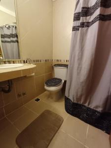 een badkamer met een toilet en een douchegordijn bij Anchorena 1117 Hotel Suite And Hostel in Buenos Aires