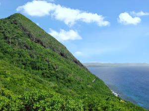 una colina verde con el océano en el fondo en Maison de 2 chambres avec vue sur la mer et jardin clos a Les Anses d'Arlet, en Les Anses-dʼArlet