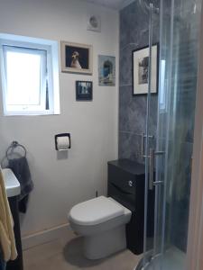 a bathroom with a toilet and a glass shower at Marlow in Swanage