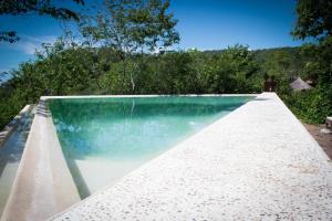 a swimming pool with blue water and trees in the background at Casa Mermejita in Mazunte