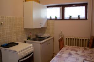 a small kitchen with a sink and a stove at Fitt Magánszálláshely in Sásd