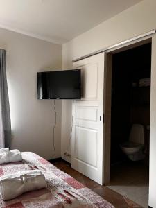 TV i/ili multimedijalni sistem u objektu Hotel Skógá by EJ Hotels