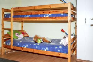 מיטה או מיטות קומותיים בחדר ב-3 bedrooms house with enclosed garden and wifi at Purgstall