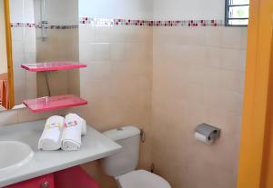 a bathroom with a white toilet and a sink at Maison d'une chambre avec terrasse amenagee et wifi a Les Anses d'Arlet a 1 km de la plage in Les Anses-dʼArlets