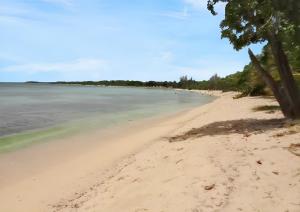 piaszczysta plaża z drzewami i wodą w obiekcie Maison de 3 chambres avec terrasse amenagee et wifi a Port Louis w mieście Port-Louis