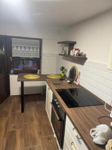 Kuchyň nebo kuchyňský kout v ubytování Simsir villa Novi Sad wifi