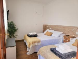 een slaapkamer met 2 bedden en een plant bij Casa África y Ramona in Redondela