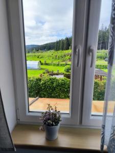 Zahrada ubytování Apartments Pernink 341