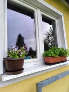 Zahrada ubytování Apartments Pernink 341