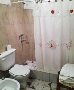 a bathroom with a toilet and a shower curtain at Departamento amplio a metros del mar in Puerto Madryn