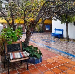 a bench and a tree in a courtyard at Departamento amplio a metros del mar in Puerto Madryn