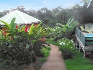 Vườn quanh Bungalow de 2 chambres avec piscine partagee jardin amenage et wifi a Le Robert