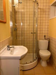 a bathroom with a shower and a toilet and a sink at Apartament Pod Piórkiem in Krościenko