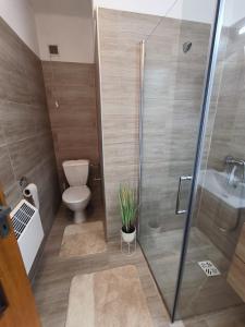 a bathroom with a toilet and a shower at Chata Rybná 18 in Pernink +58 photos