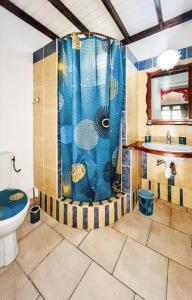 W łazience znajduje się prysznic, toaleta i umywalka. w obiekcie Appartement de 2 chambres avec jardin clos et wifi a Basse Terre w mieście Basse-Terre