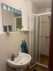 y baño blanco con lavabo y ducha. en Szépasszonyvölgyi Apartman en Eger