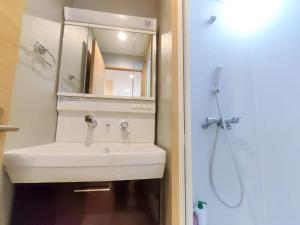 東京にある41池袋最中心 两室一厅 池袋站10分 2 rooms Ikebukuro center 10 mins to ST Max 5P 直达新宿 涉谷 表参道 池袋 上野 代代木 银座 原宿の洗面台と鏡のあるバスルーム +17枚の写真