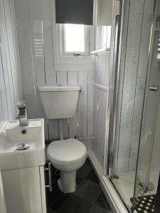 a small bathroom with a toilet and a shower at Cozy Seaside Chalet in Bridlington in Bridlington