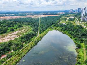 Naturlandskabet i nærheden af lejligheden