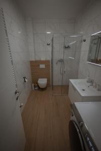 ein Bad mit einer Dusche, einem WC und einem Waschbecken in der Unterkunft Lega Donji Grad Self check in, private Parking in Osijek
