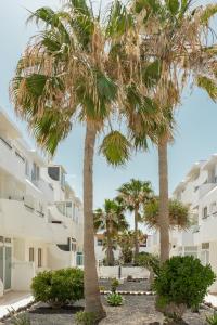 two palm trees in front of a building at Casa Maja in Costa de Antigua