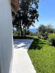 a walkway leading to a yard with trees and grass at Villetta Suite indipendente in Santa Maria