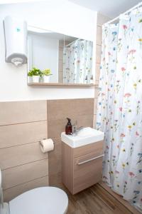 a bathroom with a toilet and a sink and a shower curtain at Wellarom Szalon in Vonyarcvashegy +24 photos