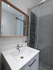 a bathroom with a white sink and a shower at La pause roannaise in Roanne