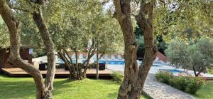 Zahrada ubytování Hotel Carmen